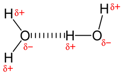 800px-Hydrogen-bonding-in-water-2D