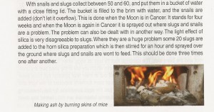 burning_mice