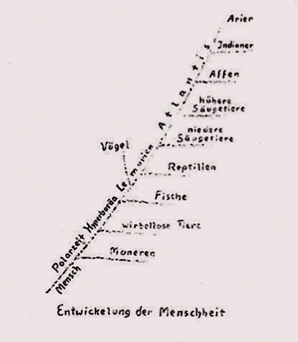 steiner heirarchy